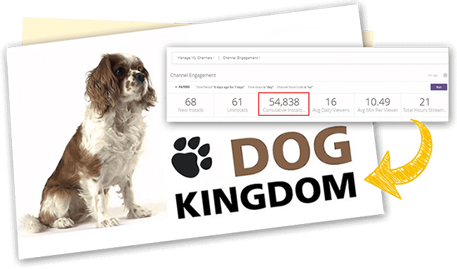 dog kingdom